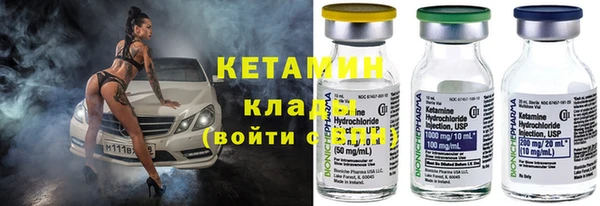 стаф Алексин