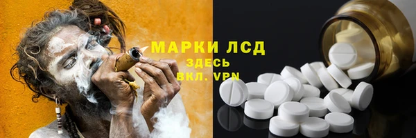 стаф Алексин