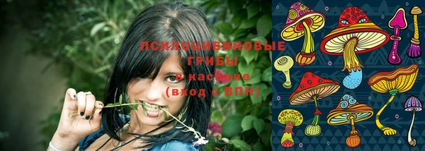 стаф Алексин