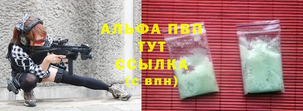 стаф Алексин